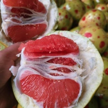 【推荐】红心柚大量接单产地直发量大从优欢迎来电