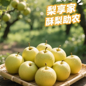 宁陵酥梨，产地直销量大从优，价格实惠欢迎订购