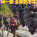 果园直发葡萄苗早熟巨峰夏黑巨盛一号早熟保真品种成活率