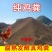 批发纯鸡粪发酵鸡粪，一手货源大量现货，欢迎新老客户合作