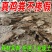 批发纯鸡粪发酵鸡粪，一手货源大量现货，欢迎新老客户合作