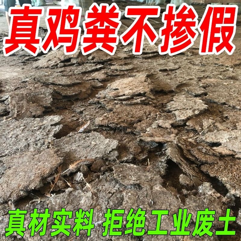 批发纯鸡粪发酵鸡粪，一手货源大量现货，欢迎新老客户合作