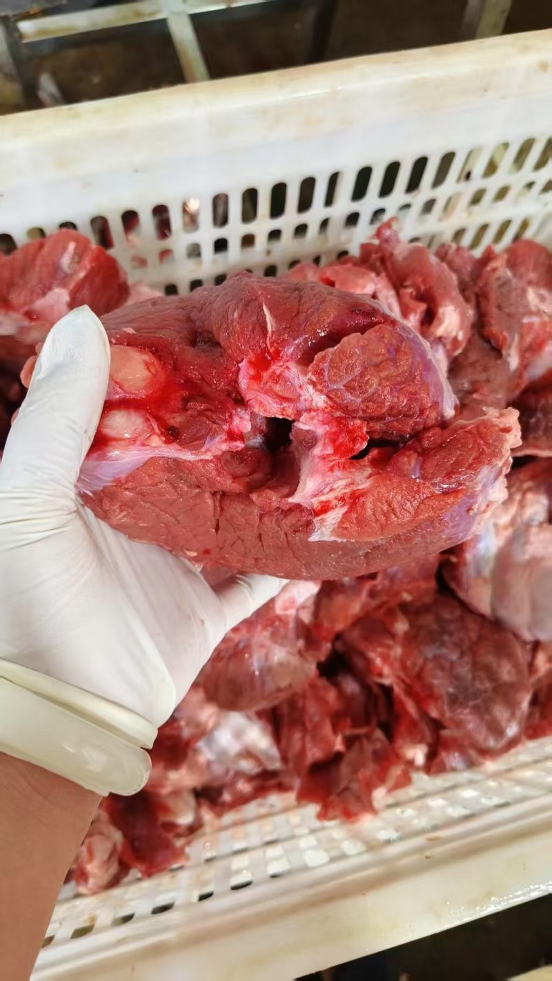 牛鞭肉