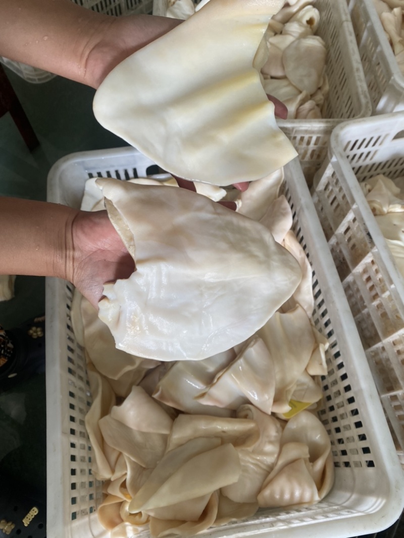 生牛耳片纯片无根，量大从优，长期供应。