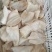 生牛耳片纯片无根，量大从优，长期供应。