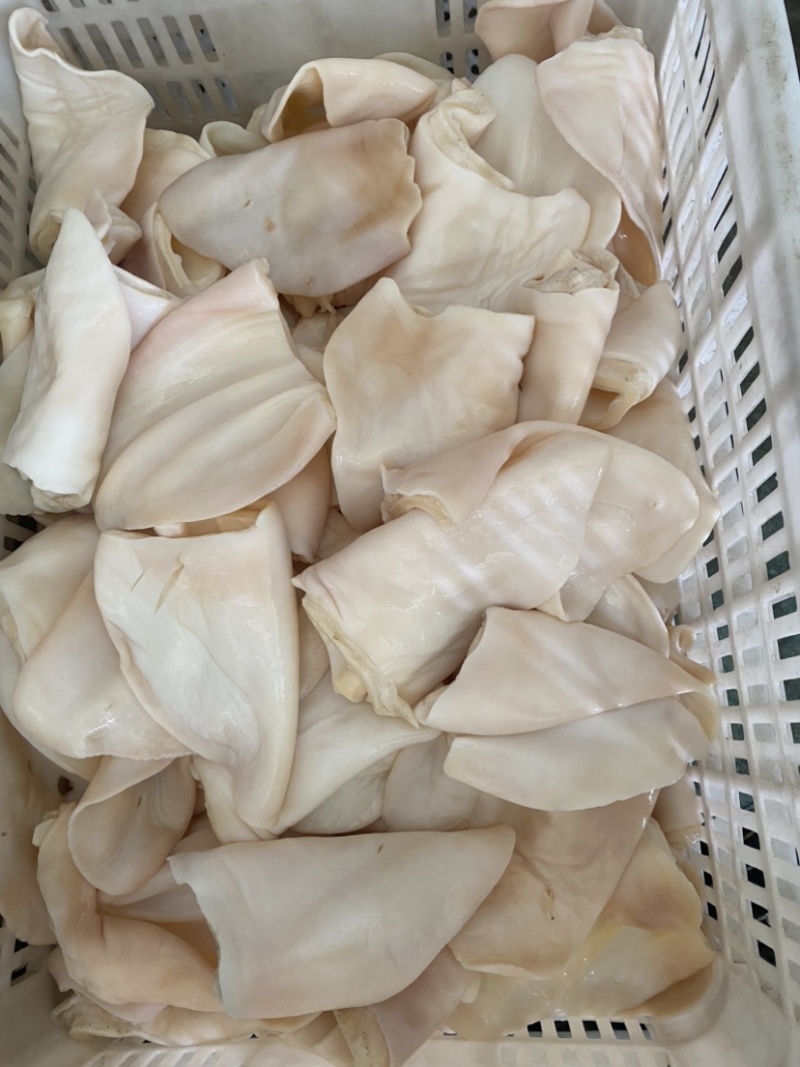 生牛耳片纯片无根，量大从优，长期供应。