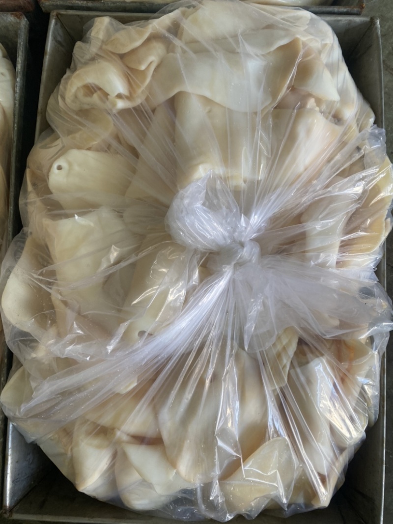 生牛耳片纯片无根，量大从优，长期供应。
