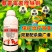柑橘三遍药抽稍期开花前谢花后溃疡病春雷喹啉铜组合