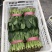 河北精品菠菜产地直发货源充足保质保量欢迎随时联系