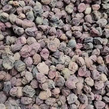 中药材（山稔子）品质保证，欢迎老板来电洽谈