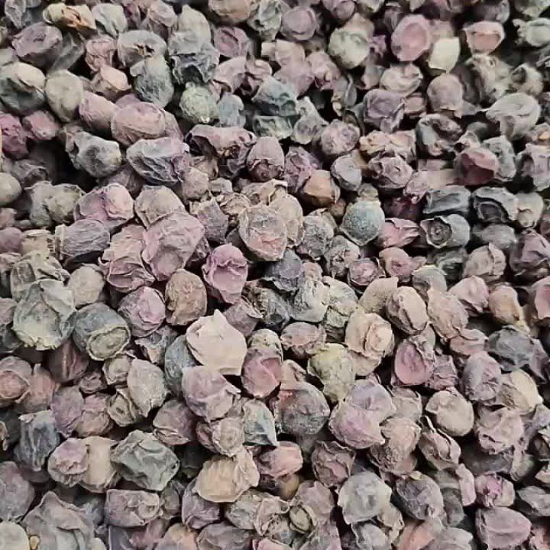 中药材（山稔子）品质保证，欢迎老板来电洽谈