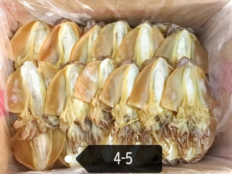 福建淡水墨鱼干