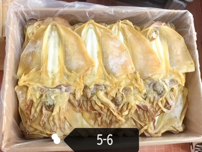 福建淡水墨鱼干