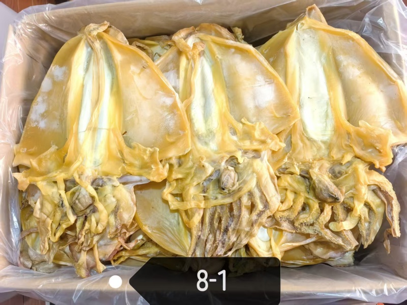 福建淡水墨鱼干