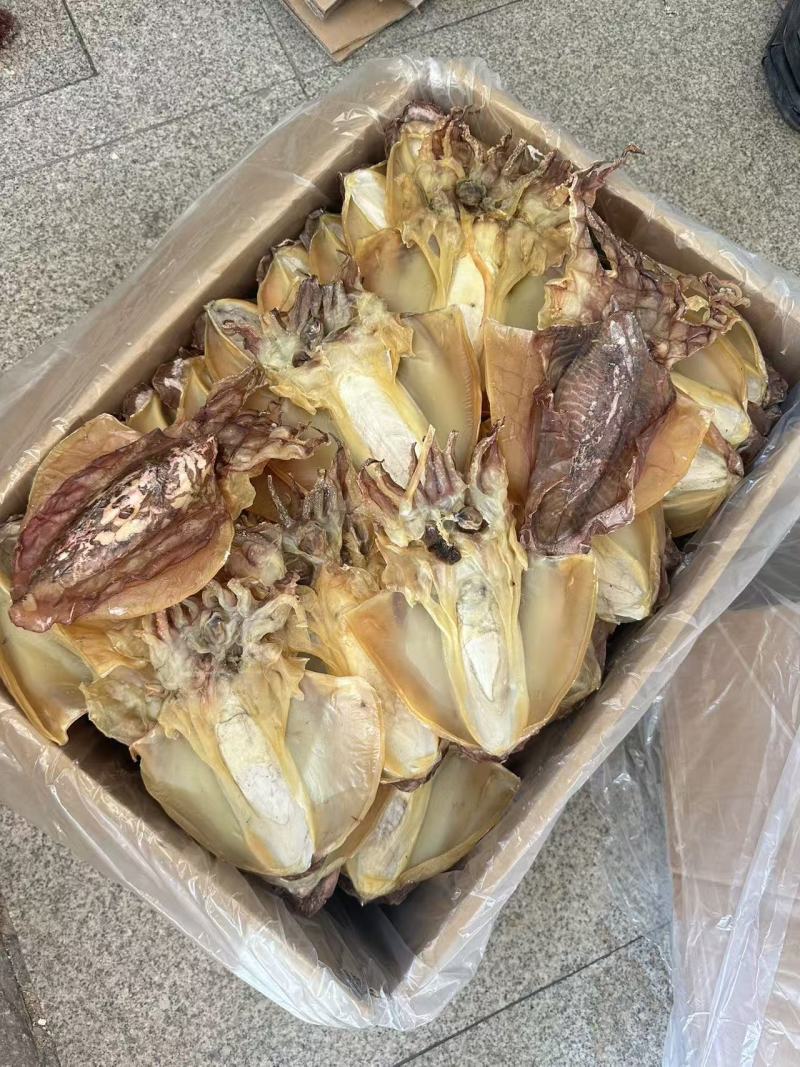 福建淡水墨鱼干