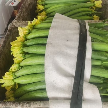丝瓜