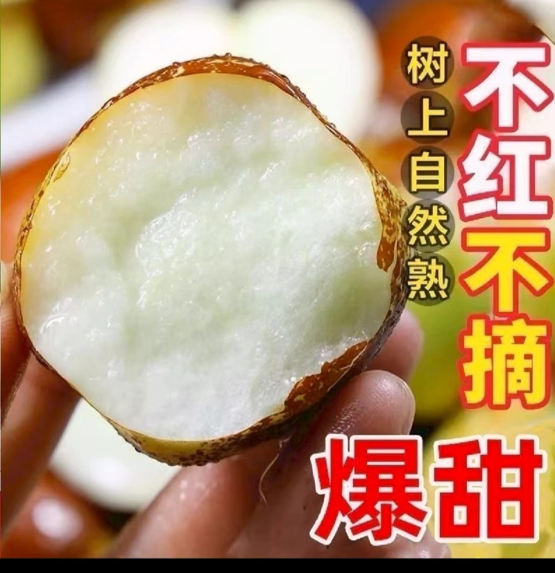 [热卖]沾化冬枣对接各大市场档口商超电商平台