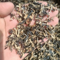 2-5公分足干木耳丝定制干木耳丝木耳丝电商水饺蟹料木耳丝