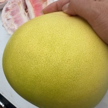 三红柚皮溥多汁口感细腻纯甜欢迎品尝新老顾客前来购买