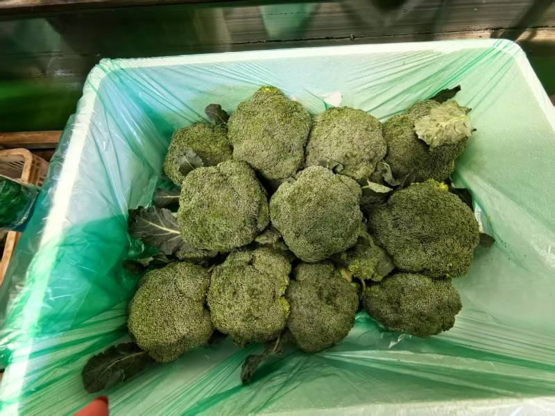 西兰花