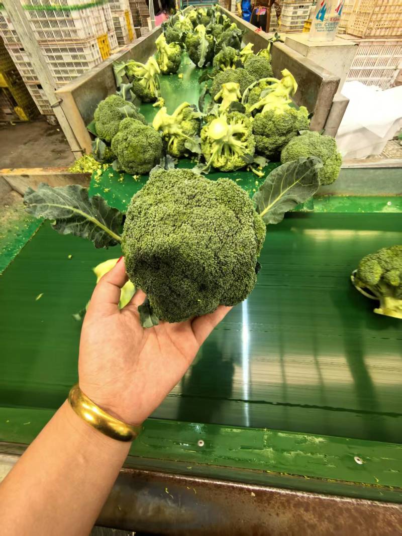 西兰花