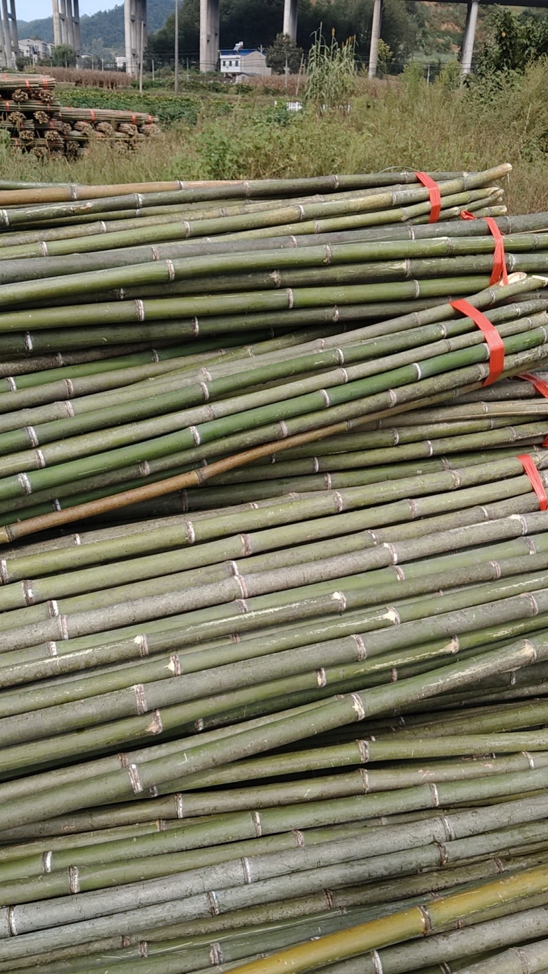 大棚竹杆