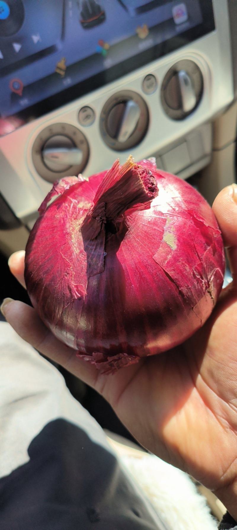 大量现货，洋葱