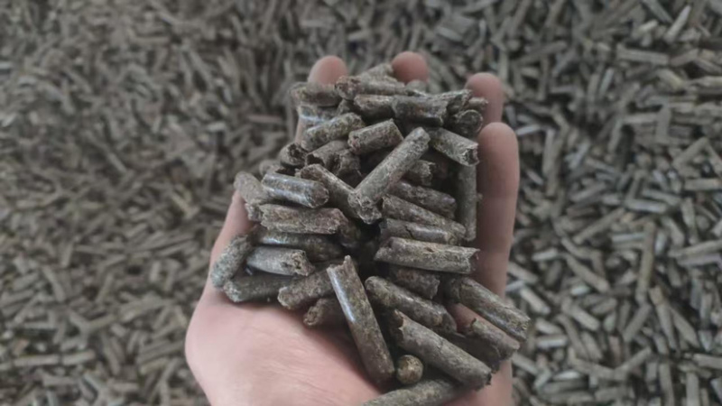 俄罗斯进口甜菜粕颗粒班列保供