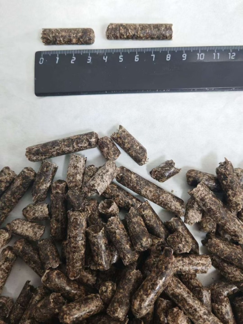 俄罗斯进口甜菜粕颗粒班列保供