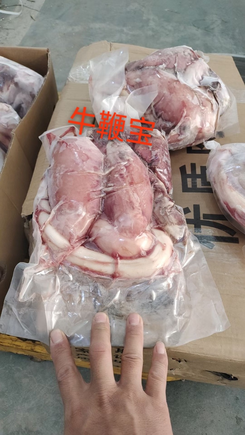 现货牛鞭宝可聊