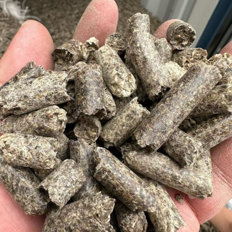 俄罗斯进口甜菜粕颗粒班列保供