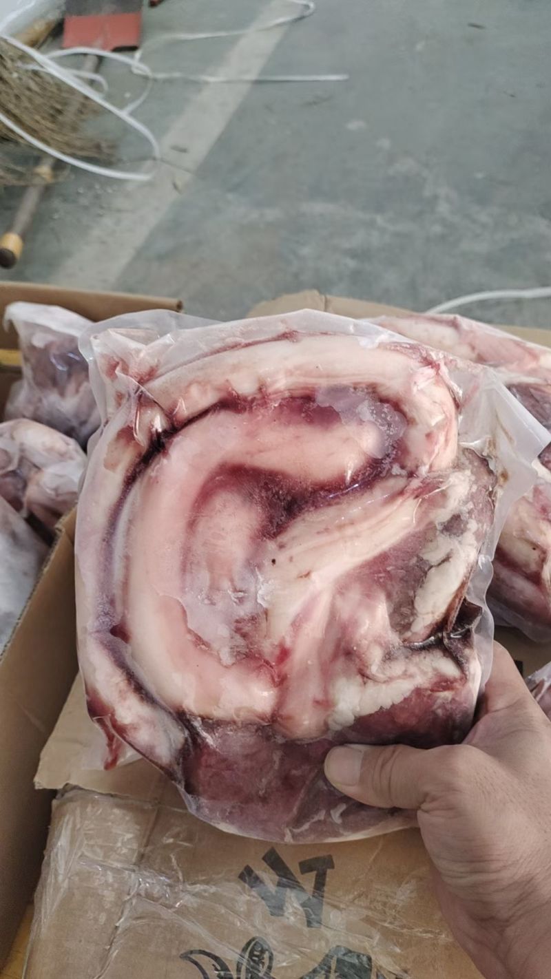 现货牛鞭宝可聊