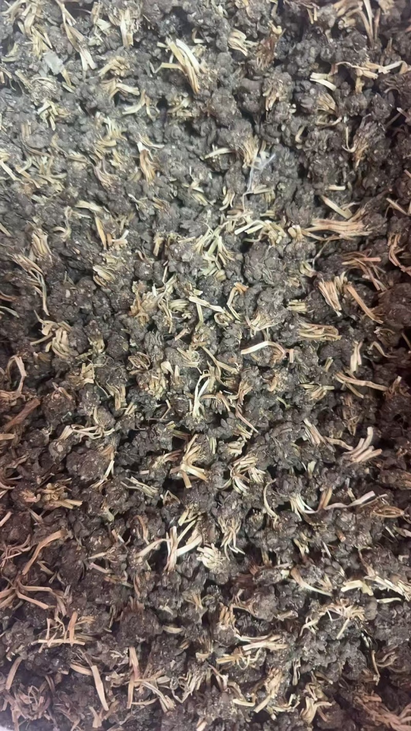 黄皮精品猫爪草