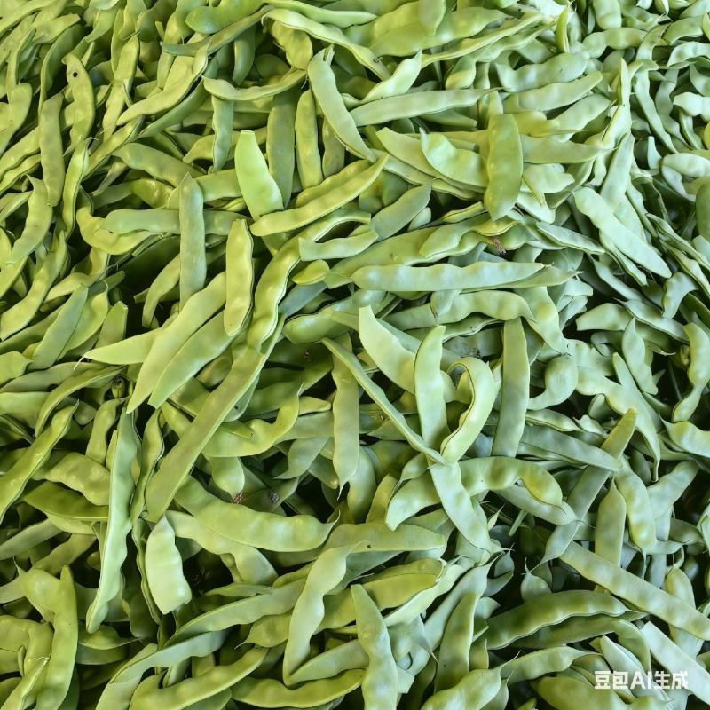 东北油豆角一点红九月青红金勾油豆一件代发电商市场空运可以