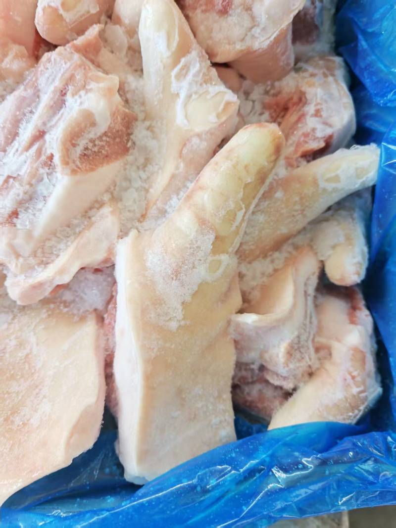 临沂现货带跟猪尾带尾根肉尾巴出成20%左右