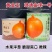 中熟黄皮洋葱种子脆甜微辣璐通金球一号水果洋葱种子黄金玉