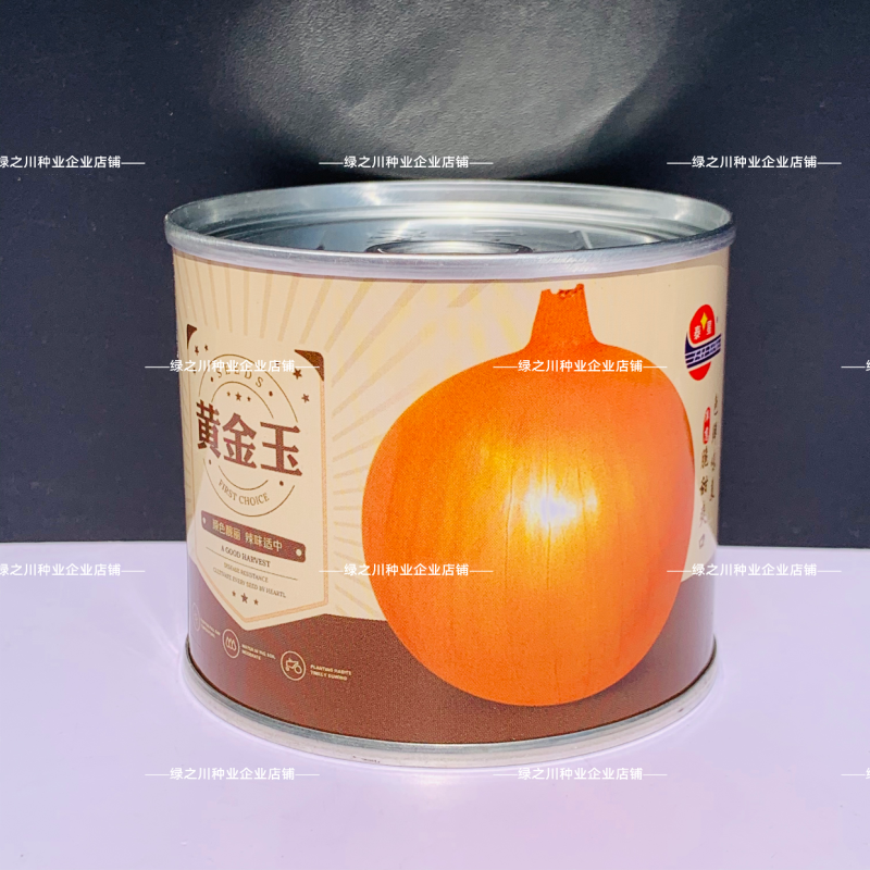 中熟黄皮洋葱种子脆甜微辣璐通金球一号水果洋葱种子黄金玉