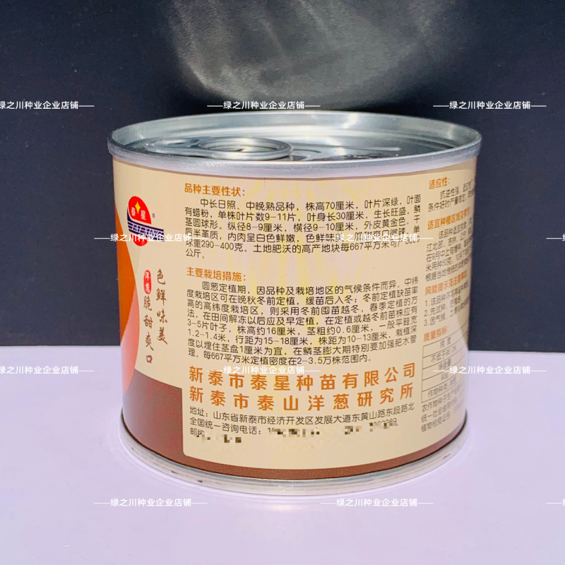 中熟黄皮洋葱种子脆甜微辣璐通金球一号水果洋葱种子黄金玉
