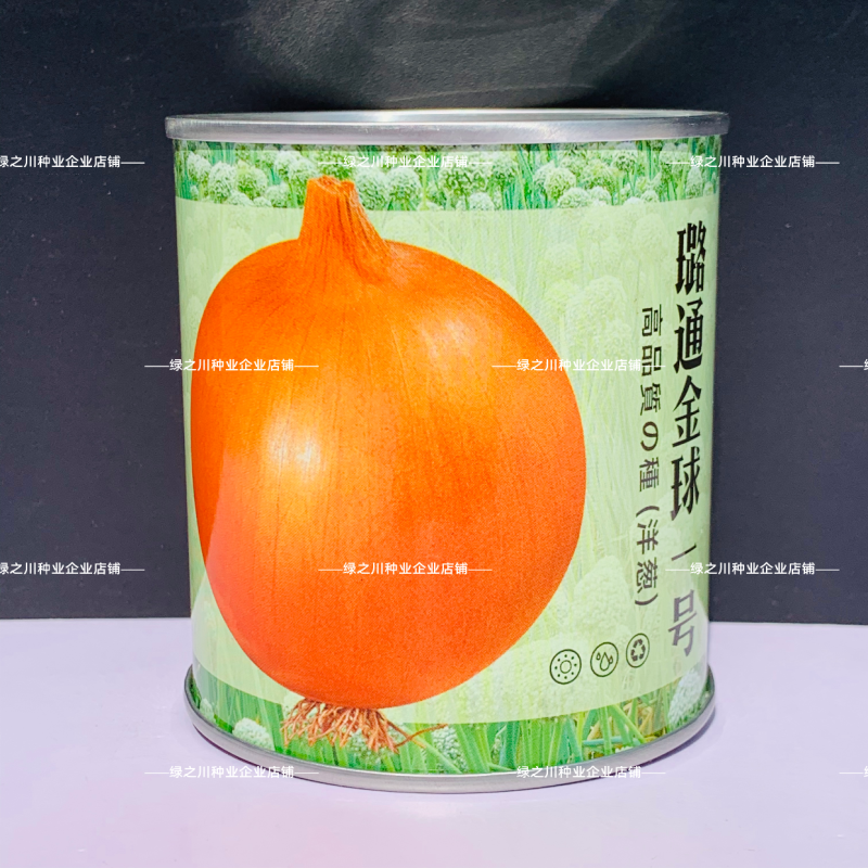 中熟黄皮洋葱种子脆甜微辣璐通金球一号水果洋葱种子黄金玉