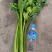 产地冷棚芹菜