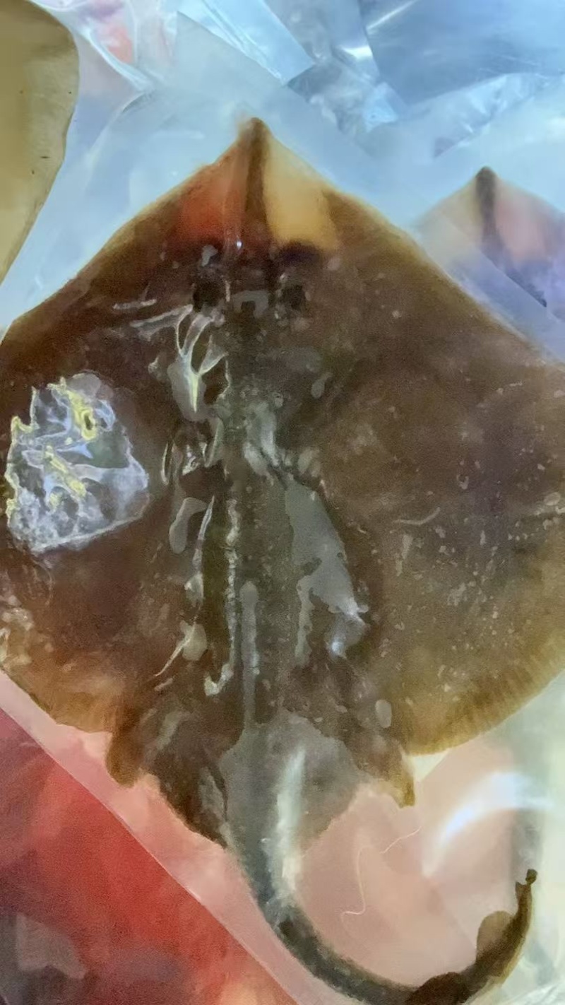 老板鱼鳐鱼三去免处理鳐鱼翅老板鱼翅魔鬼鱼