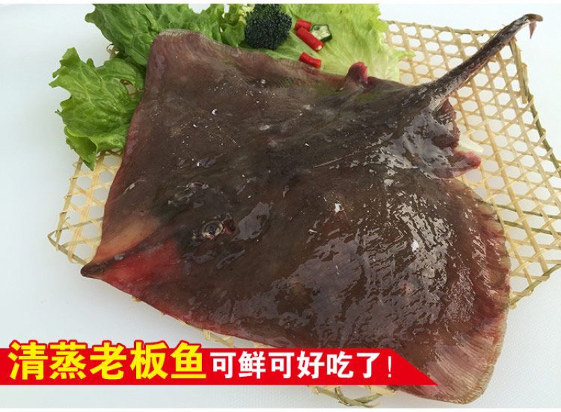 老板鱼鳐鱼三去免处理鳐鱼翅老板鱼翅魔鬼鱼