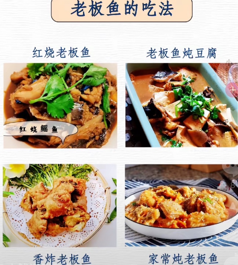 老板鱼鳐鱼三去免处理鳐鱼翅老板鱼翅魔鬼鱼