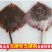 老板鱼鳐鱼三去免处理鳐鱼翅老板鱼翅魔鬼鱼