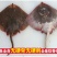 老板鱼鳐鱼三去免处理鳐鱼翅老板鱼翅魔鬼鱼