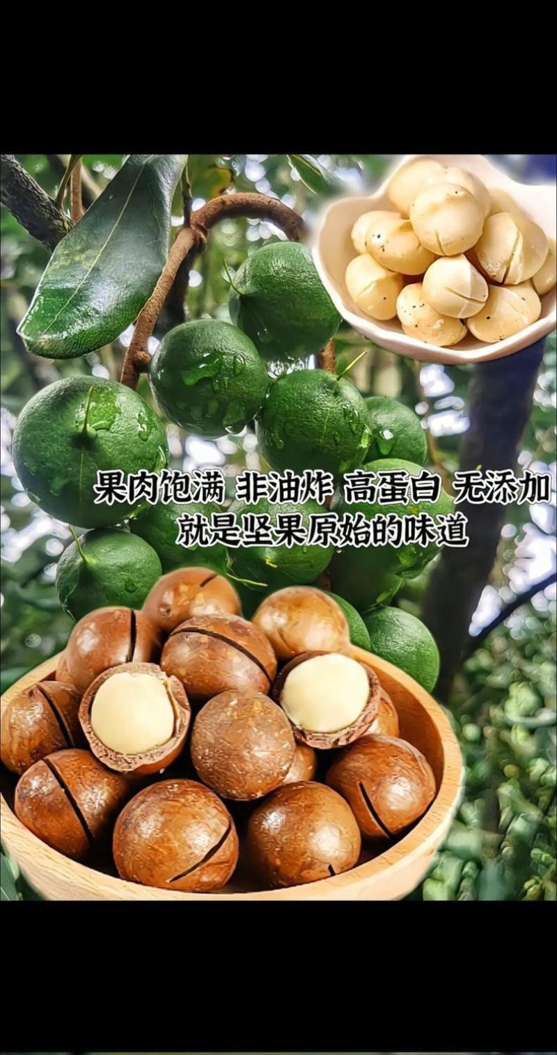 夏威夷果，电商代发