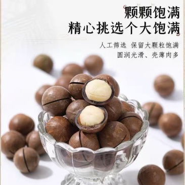 夏威夷果，电商代发