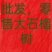 大红袍石榴树批发