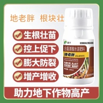 块根块茎促根壮杆控上促下地老胖含氨基酸水溶肥膨大增产