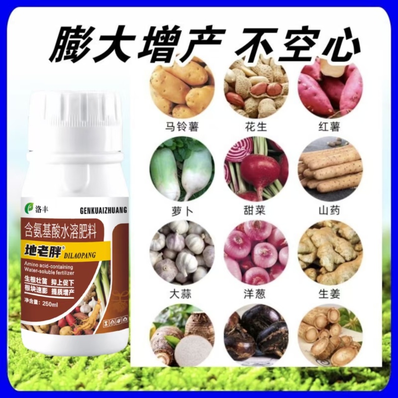 块根块茎促根壮杆控上促下地老胖含氨基酸水溶肥膨大增产